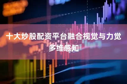 十大炒股配资平台融合视觉与力觉多维感知