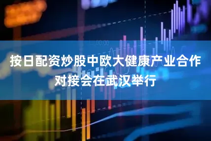按日配资炒股中欧大健康产业合作对接会在武汉举行